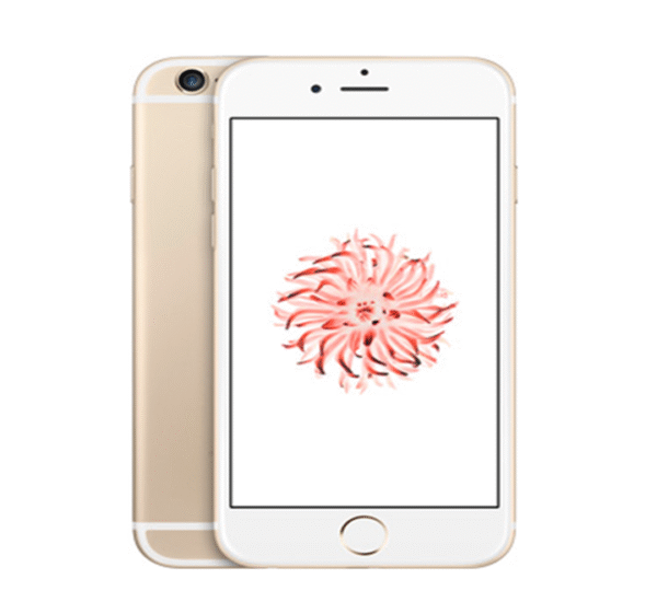 iPhone 6 neuf Sénégal – Image 2